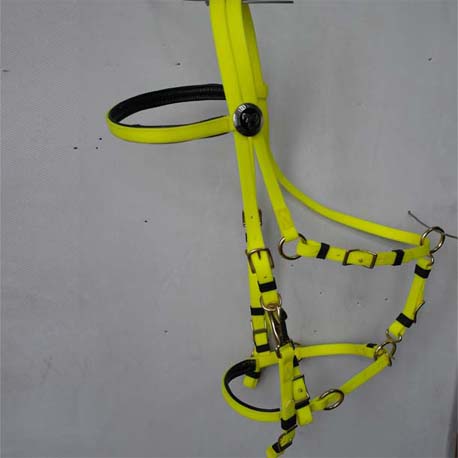 endurance bridle