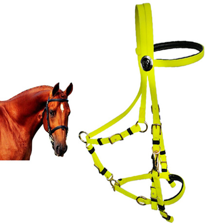 endurance bridle halter