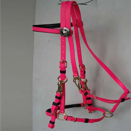 bridle halter