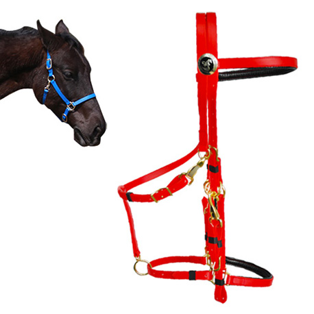 red bridle halter