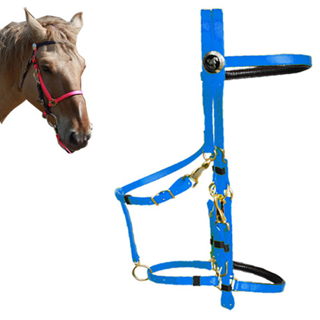 endurance bridle