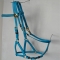Sky blue horse show halter bridle combo with brass hardware