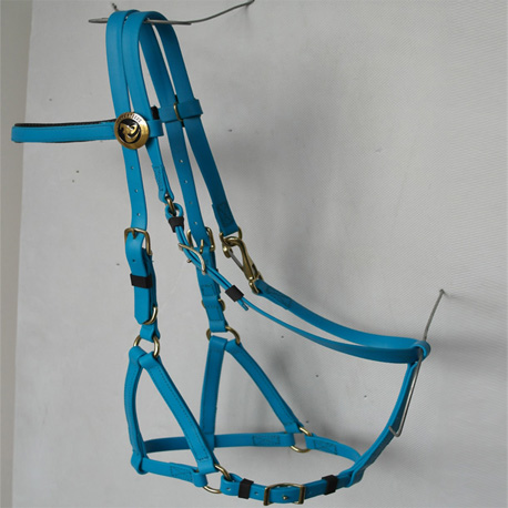 blue endurance bridle