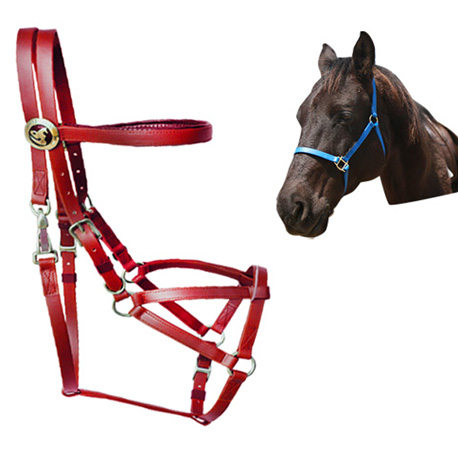 bridle halter equipment