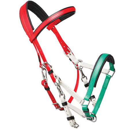 durable marathon halter bridles