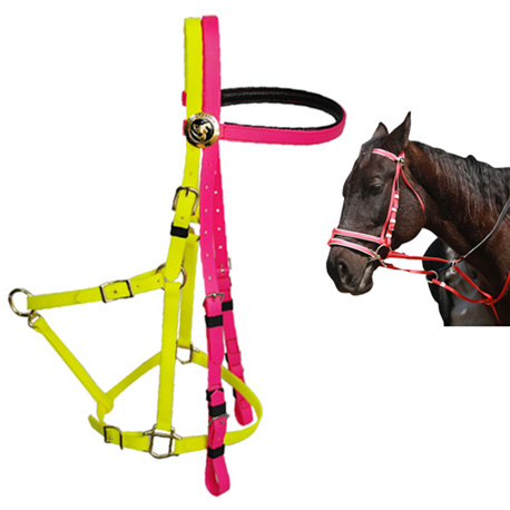 endurance bridle halter