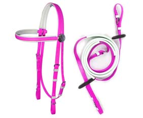 Light purple bit hanger headstall bridle and rein PVC