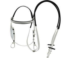 TPU coated nylon horse riding headstall and rein attached