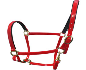 Fluo red TPU adjustable horse halters supplies