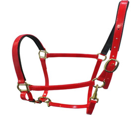 Fluo red TPU adjustable horse halters supplies