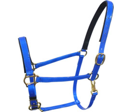 Baby blue waterproof buckle nose safety halter TPU for horse riding racing