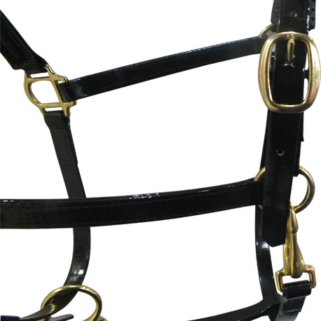 black halter