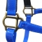 Baby blue waterproof buckle nose safety halter TPU for horse riding racing