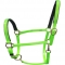 Fancy lime green TPU coated nylon horse halter wholesale for sale