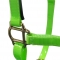 Fancy lime green TPU coated nylon horse halter wholesale for sale