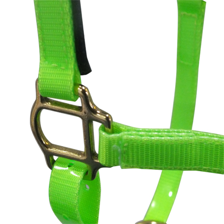 Lime green TPU coated nylon horse halter