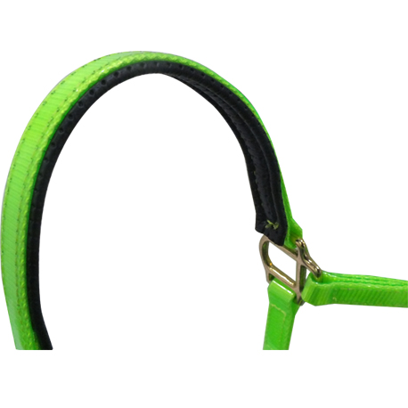 horse halter