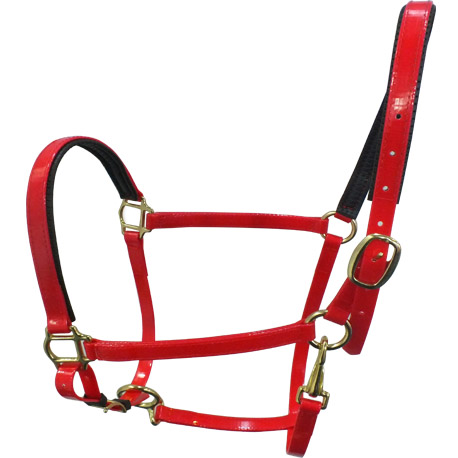 red horse halters supplies