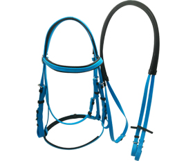 Sky blue padded riding bridle with rein made from PVC coated nylon webbings company