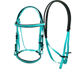 Single noseband bridle and rein PVC on sale