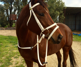 Double nosebands draft horse bridle and rein set