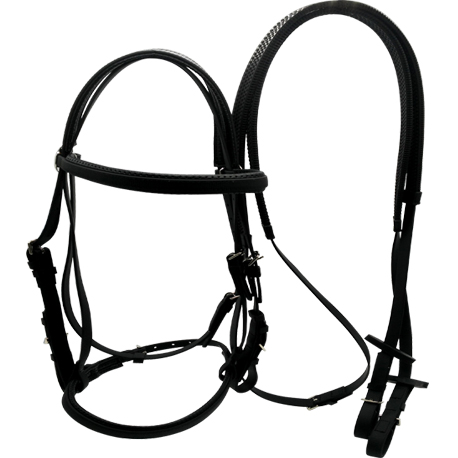 horse tack bridles