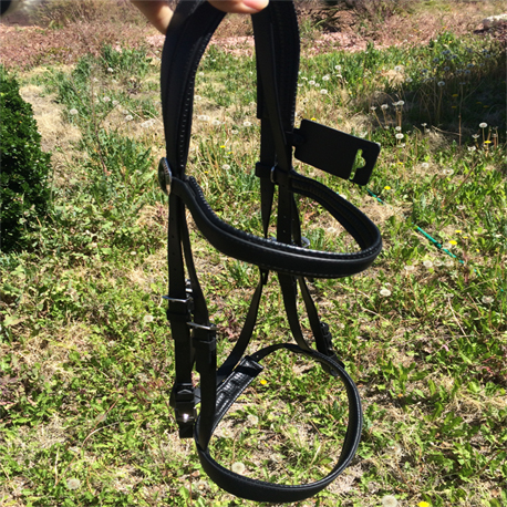 black horse tack bridles