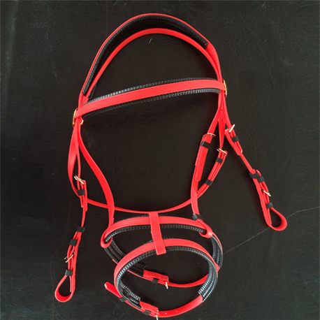 red double nosebands bridle