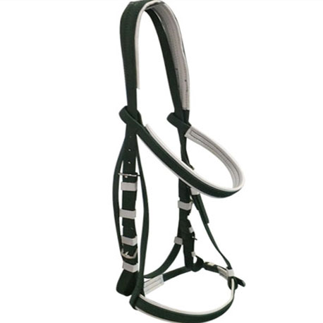 horse racing bridle