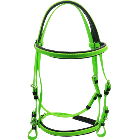 horse bridle