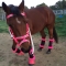 Fancy stitched horse bridles tack wholesale for sale hot pink