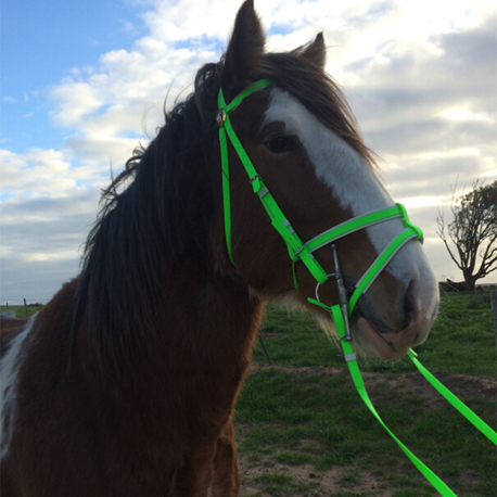 Lime green english bridle