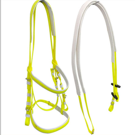 horse racing bridles