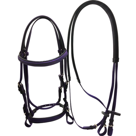 horse bridle and rein