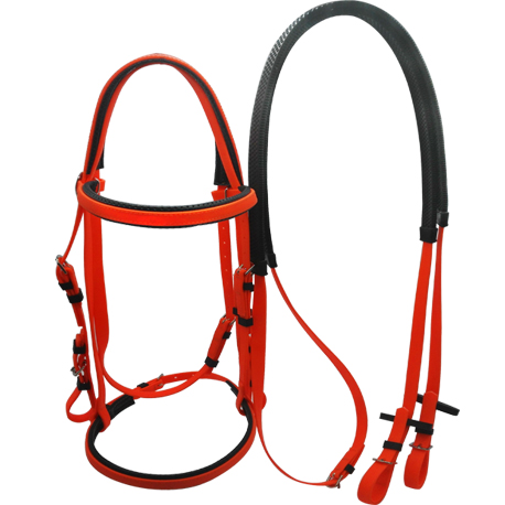 horse bridle equipment