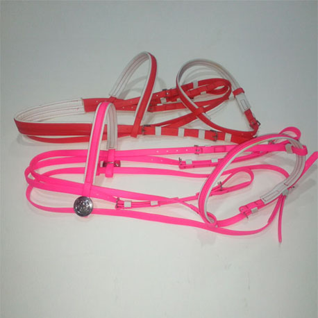 Red horse saddlery bridles with one noseband made from PVC