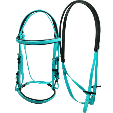 Single noseband bridle and rein