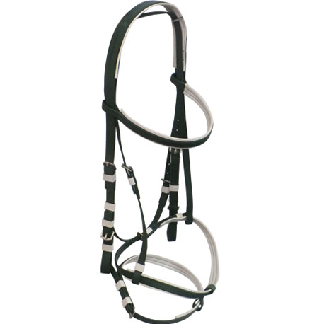 two nosebands bridle