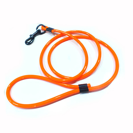 orange dog lead