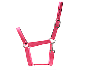 cute pink nylon horse halter