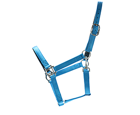 durable nylon halter blue