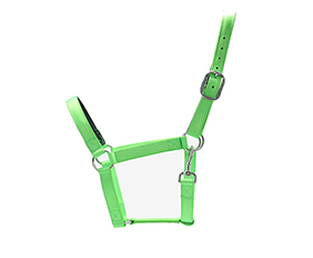 green flexible nylon horse halter