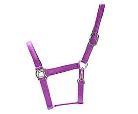 hight strength nylon halter purple