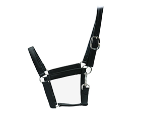 nylon horse halter with brass buckle in black