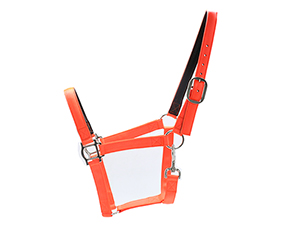 orange standard nylon horse halter