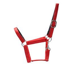 red nylon horse halter manufacturer