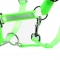 lime green glowing in dark horse halter