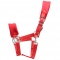 soft padding nylon halter with brass hardware in red