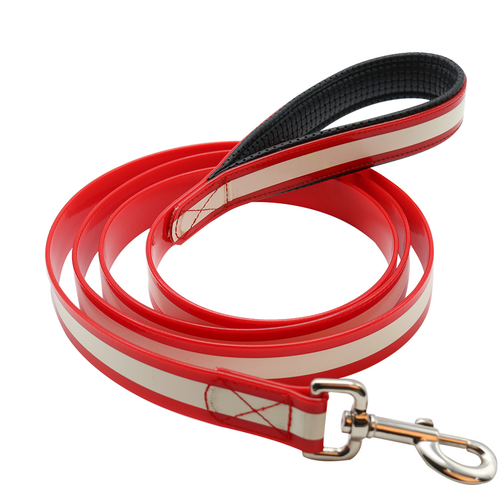 Glowing In The Dark TPU Coated Nylon Dog Leash